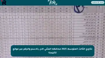 نتائج الثالث المتوسط 2025 محافظة المثنى الآن بالاسم والرقم عبر موقع نتائجنا